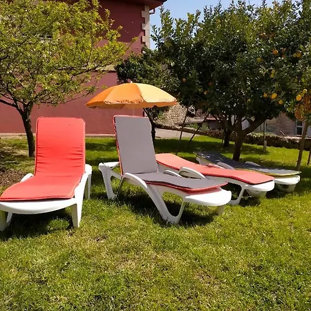 La Casa Del Limonero スアンセス